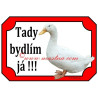 Cedulka kachna pekingská