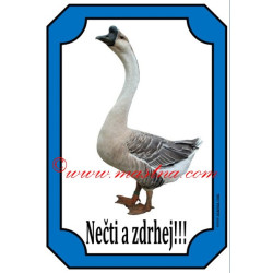 Cedulka husa labutí