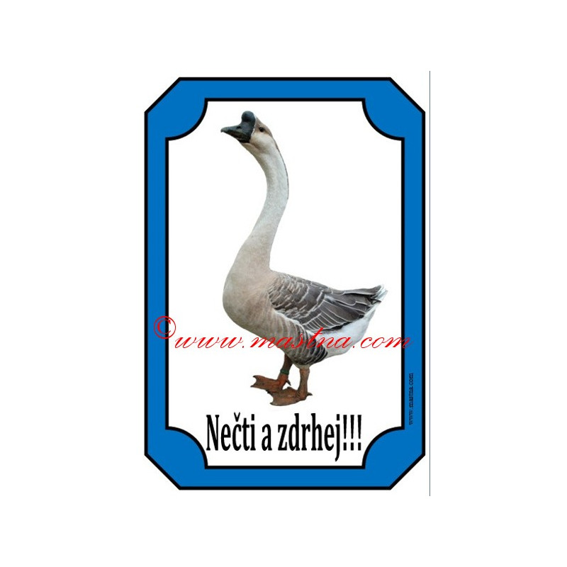 Cedulka husa labutí