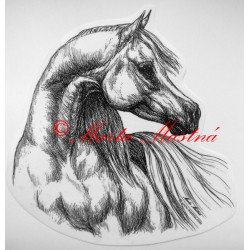 Samolepka kůň arabský