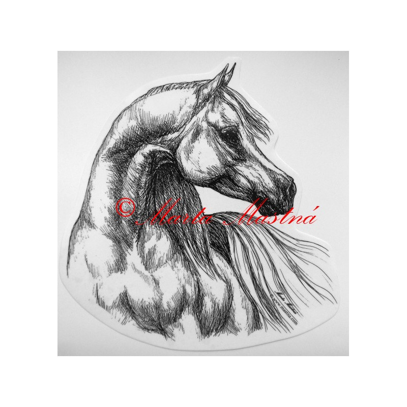 Samolepka kůň arabský