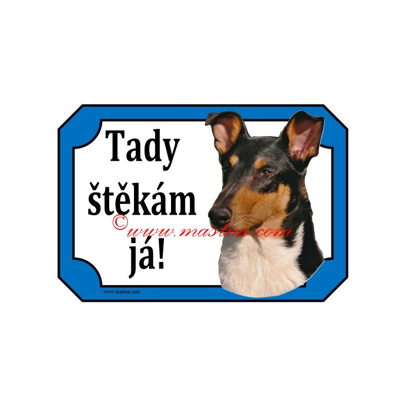 Cedulka kolie krátkosrstá