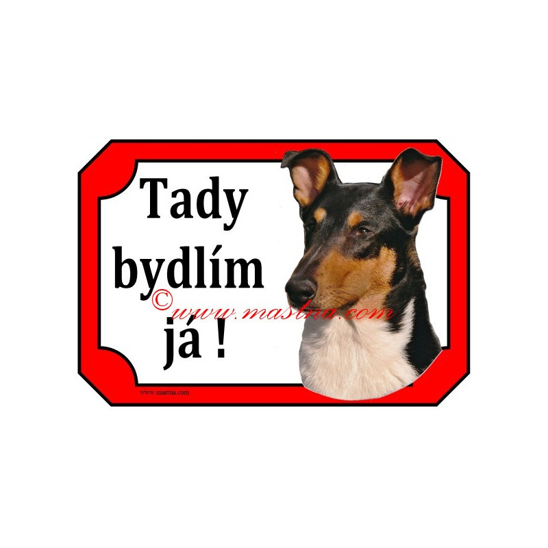 Cedulka kolie krátkosrstá