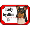 Cedulka kolie krátkosrstá