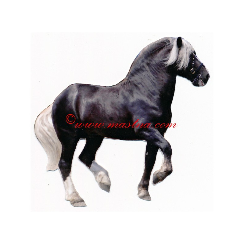 Samolepka chladnokrevník, kůň , koně