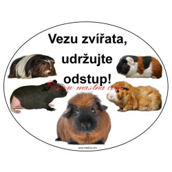 Výstražný ovál vezu zvířata - naskladníme do týdne