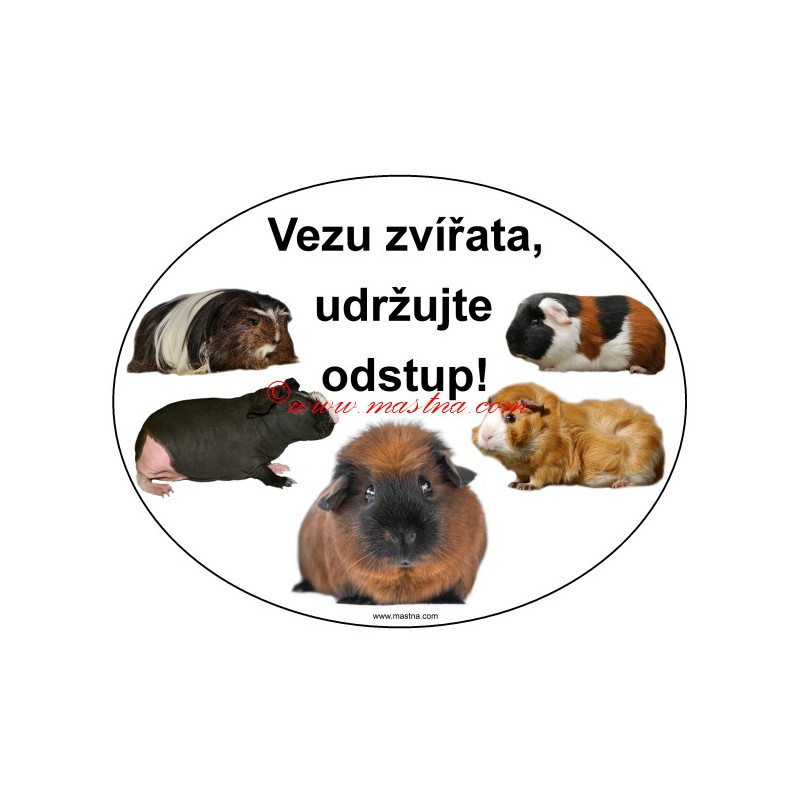 Výstražný ovál vezu zvířata - naskladníme do týdne