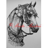 Samolepka kůň arabský