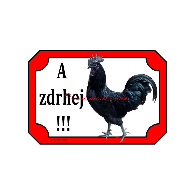 Cedulka drůbež, kohout ayam cemani