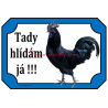 Cedulka drůbež, kohout ayam cemani