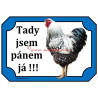 Cedulka drůbež, kohout wyandotka