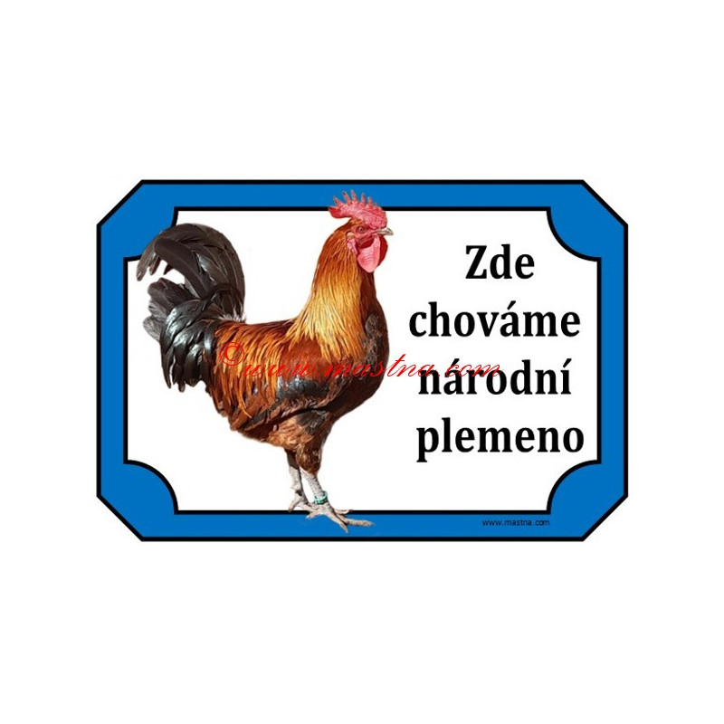 Cedulka slepice, kohout, drůbež, česká zlatá kropenka
