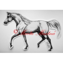 Samolepka kůň arabský, samolepky koně