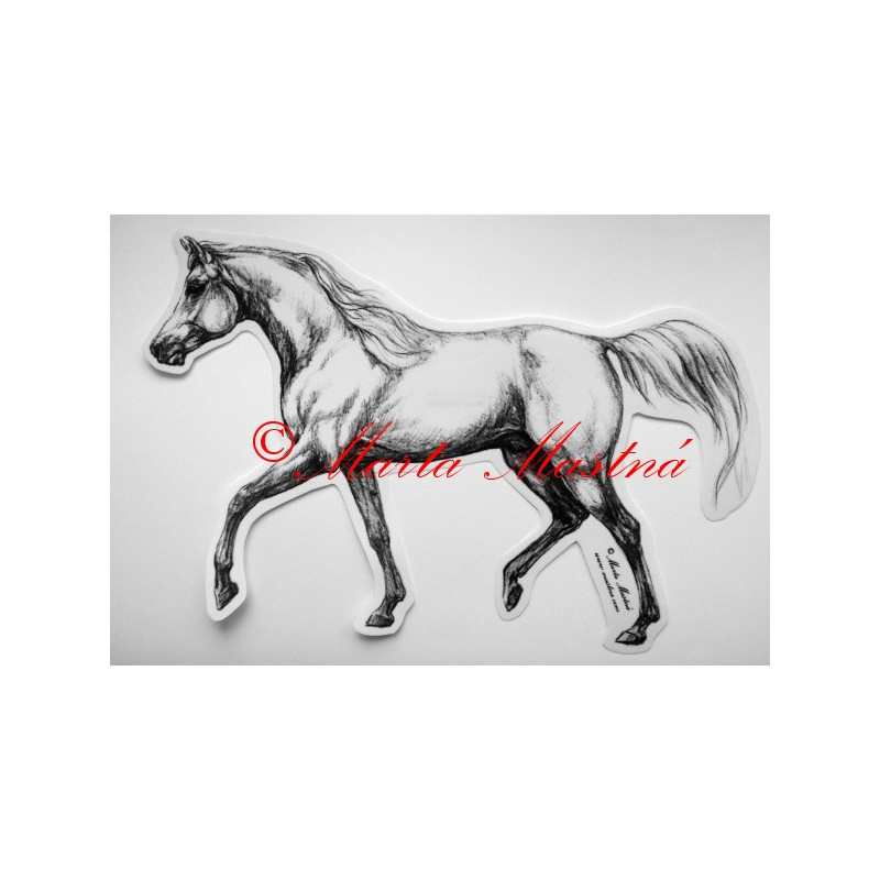 Samolepka kůň arabský