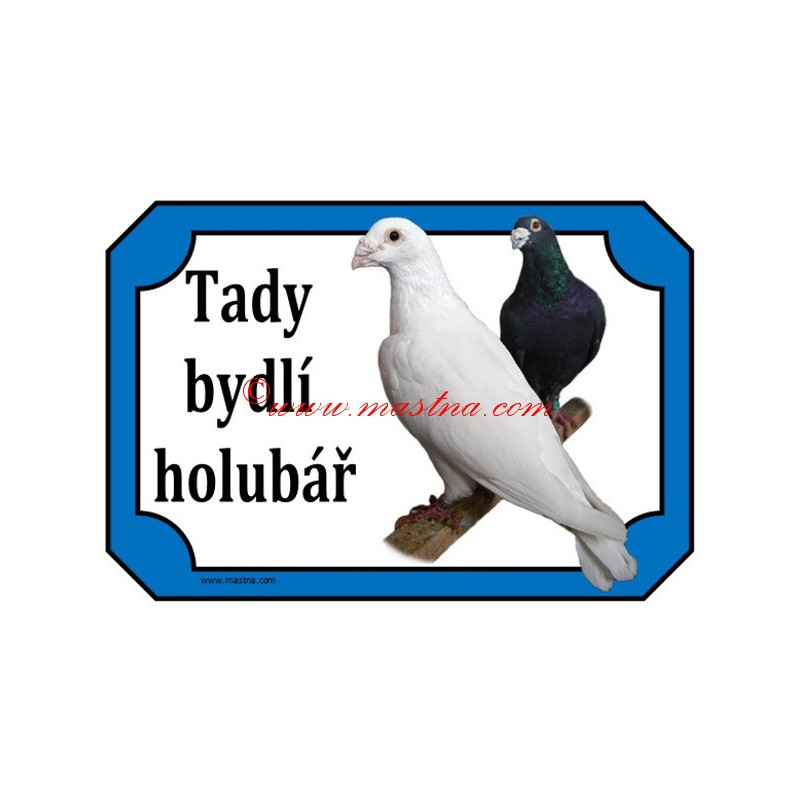 Cedulka holub poštovní