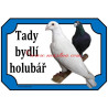 Cedulka holub poštovní