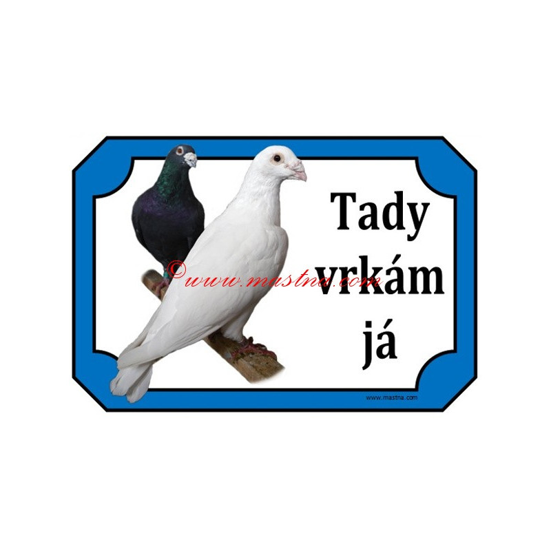 Cedulka holub poštovní