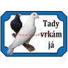 Cedulka holub poštovní