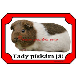 Cedulka morče hladkosrsté