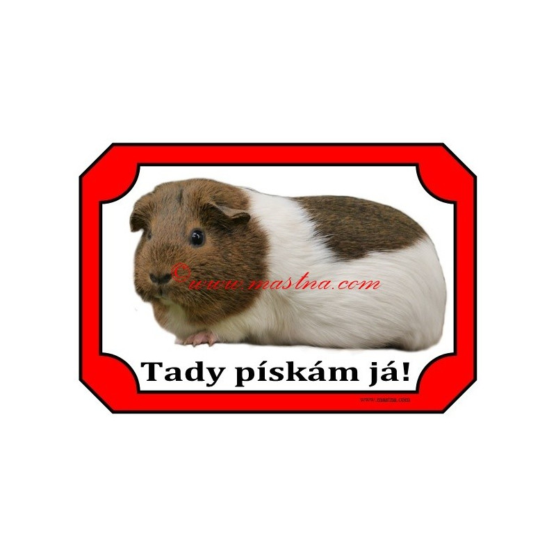 Cedulka morče hladkosrsté