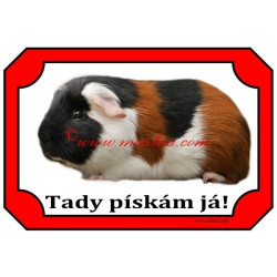 Cedulka morče hladkosrsté