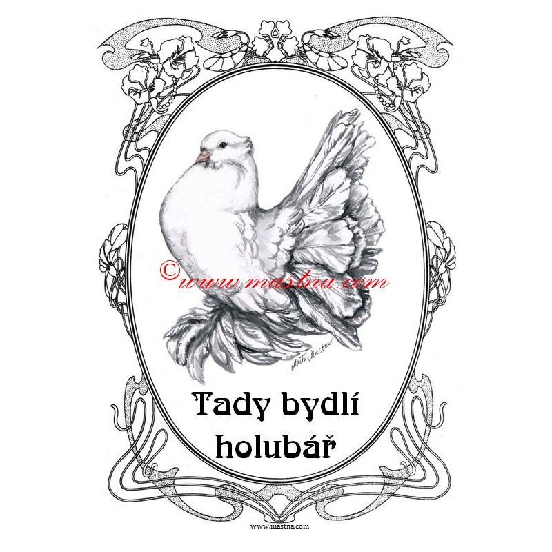 Cedulka holub pávík indický