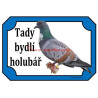 Cedulka holub košoa