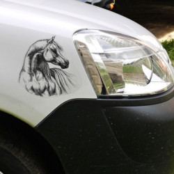 Samolepka kůň arabský