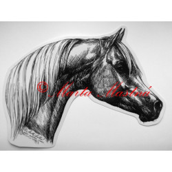 Samolepka kůň arabský