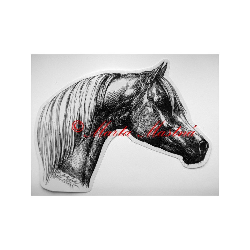 Samolepka kůň arabský