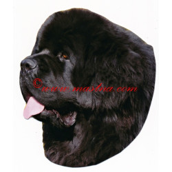 Samolepka novofundlandský pes