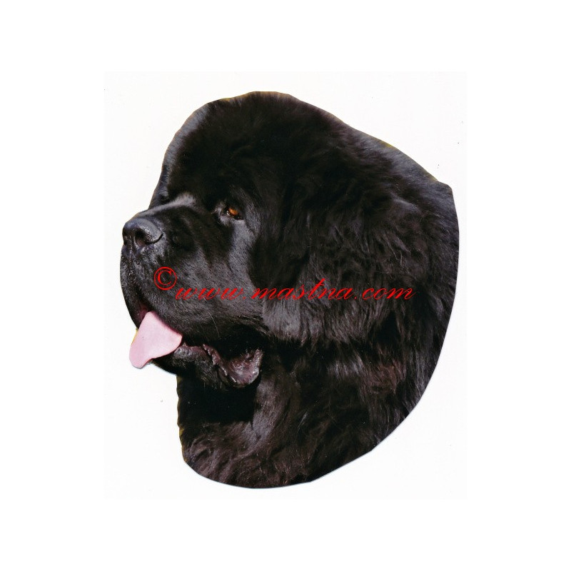 Samolepka novofundlandský pes