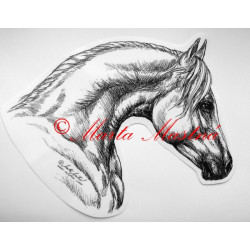 Samolepka kůň arabský