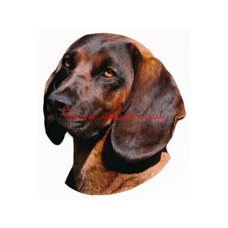 Samolepka bavorský barvář