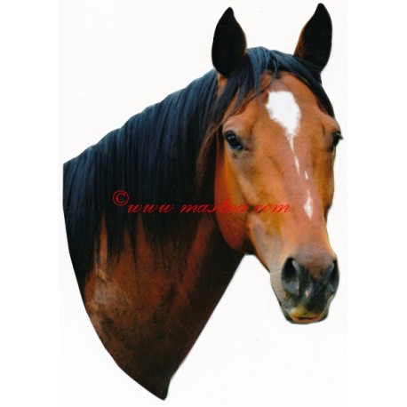 Samolepka anglický plnokrevník, kůň , koně