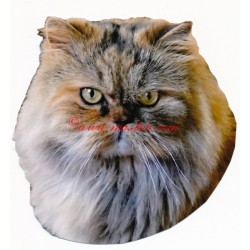 Samolepka kočka perská