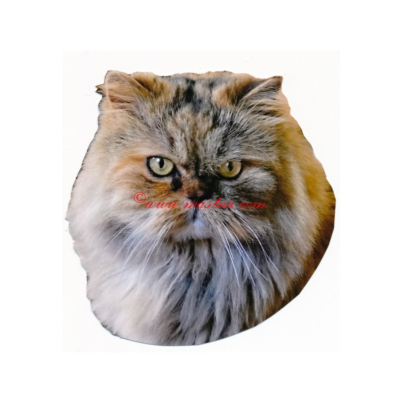 Samolepka kočka perská