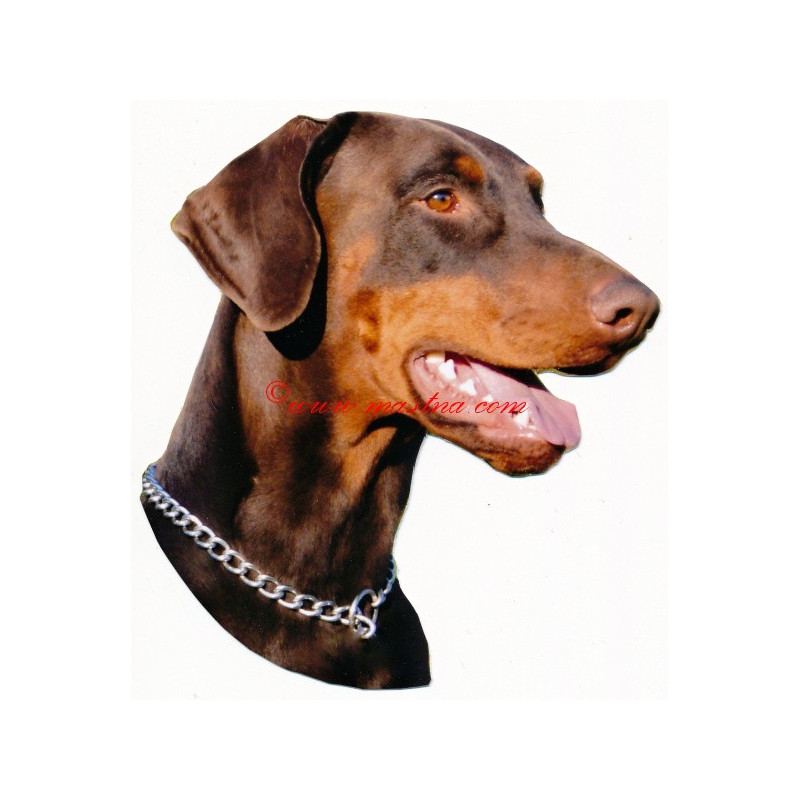 Samolepka dobrman hnědý