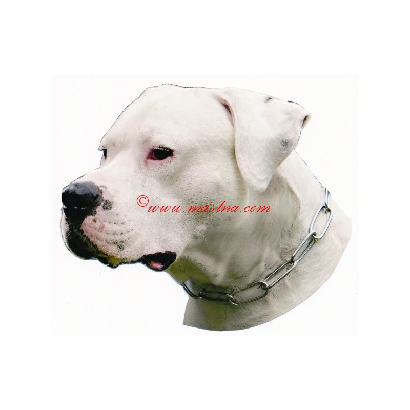 Samolepka argentinská doga