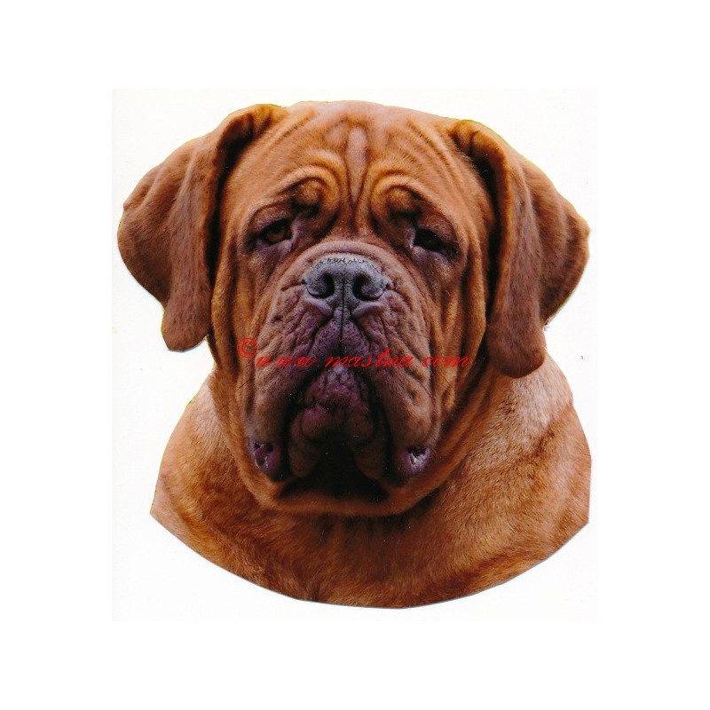 Samolepka bordeauxská doga