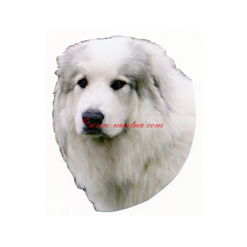 Samolepka pyrenejský horský pes