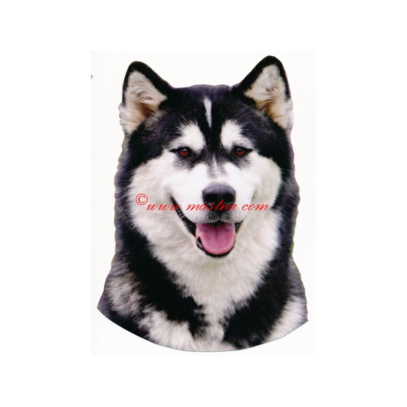 Samolepka aljašský malamut