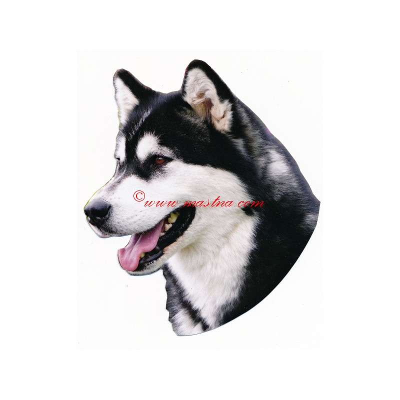 Samolepka aljašský malamut