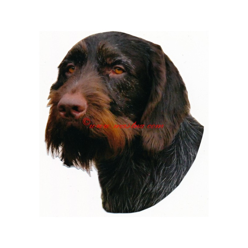 Samolepka český fousek, ohař