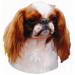 Samolepka King Charles španěl