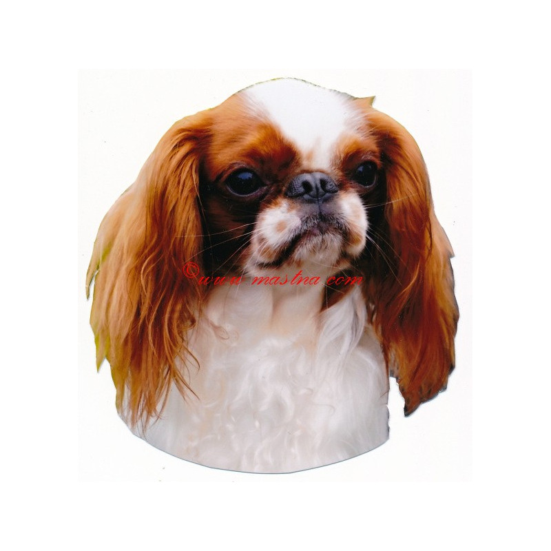 Samolepka King Charles španěl