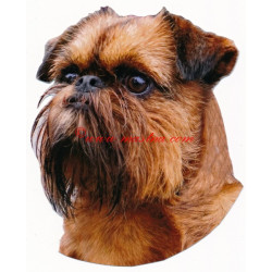 Samolepka bruselský grifonek