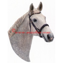 Samolepka český teplokrevník Robona, kůň , koně