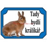 Cedulka králík zakrslý rex oranžový