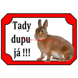 Cedulka králík zakrslý rex oranžový